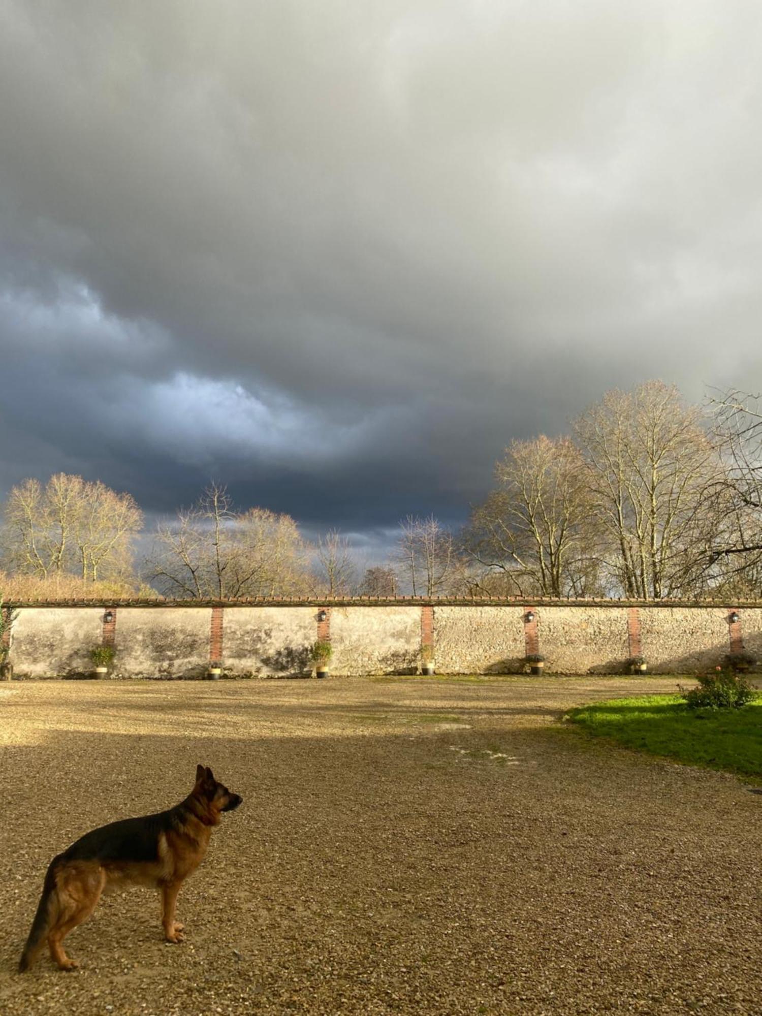 Le Domaine De Toussacq Bed & Breakfast Villenauxe-la-Petite ภายนอก รูปภาพ